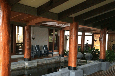 Timber Painting